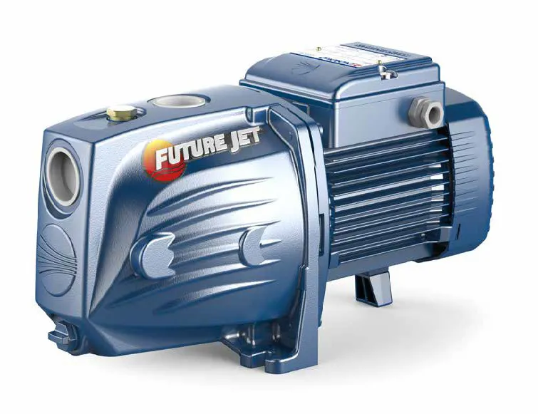 Pedrollo Future JETm 2A - (230V) Gartenpumpe Bewässerungspumpe