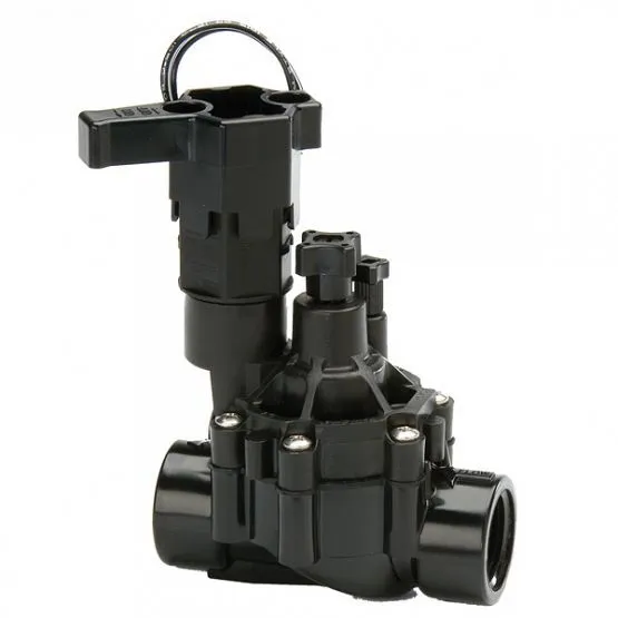 Rain Bird 100-DVF Magnetventil 1" IG mit Durchflussregulierung