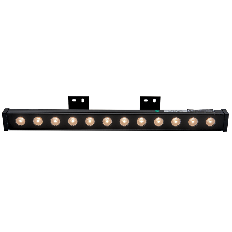 Suslight Sus Line 500 LED Wandleuchte Außen 24V